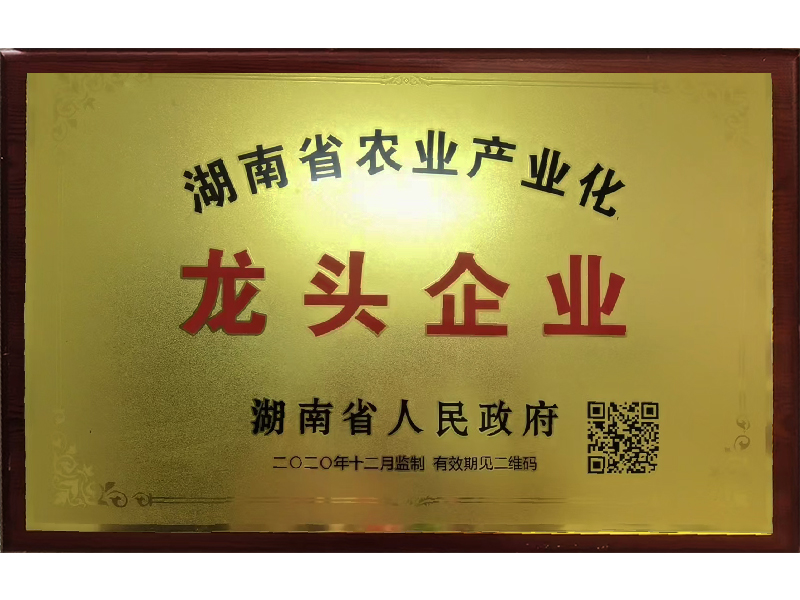 岳陽市漁之源食品有限公司,岳港漁都,洞庭魚港,散稱系列,田螺系列,臭豆腐加工，香豆腐加工，烤脖加工，魚仔,鴨排加工、雞丁加工代加工